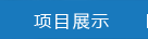 項(xiàng)目展示