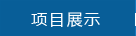 項(xiàng)目展示